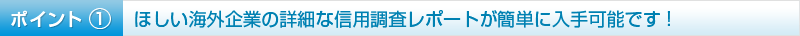 ポイント1 ほしい海外企業の詳細な信用調査レポートが簡単に入手可能です